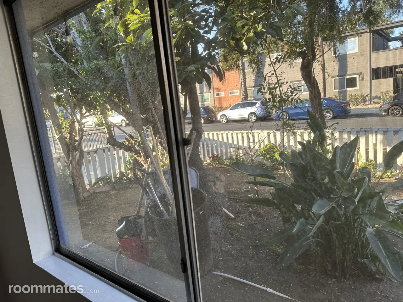 Profile photo 8 of 11