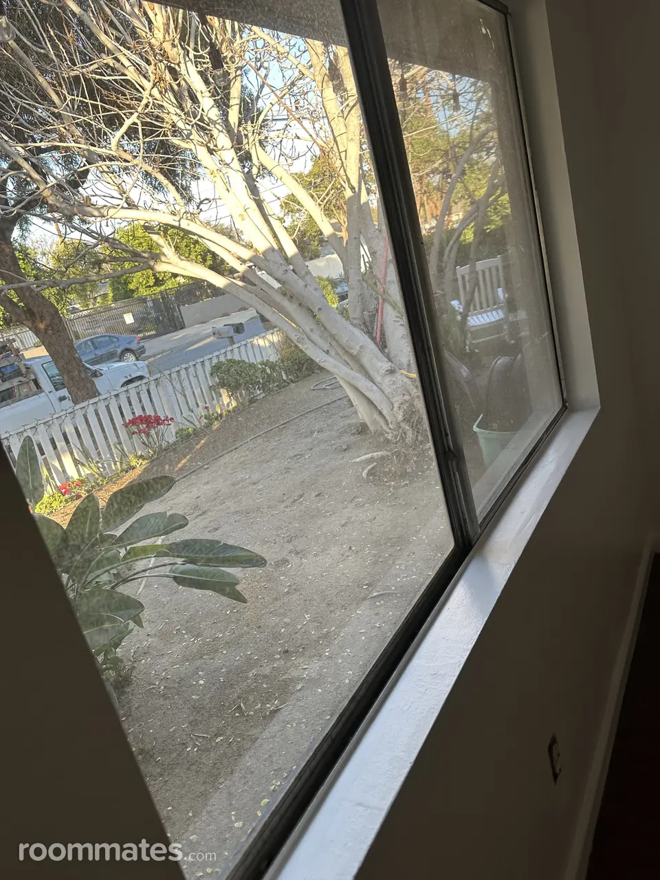 Profile photo 9 of 11