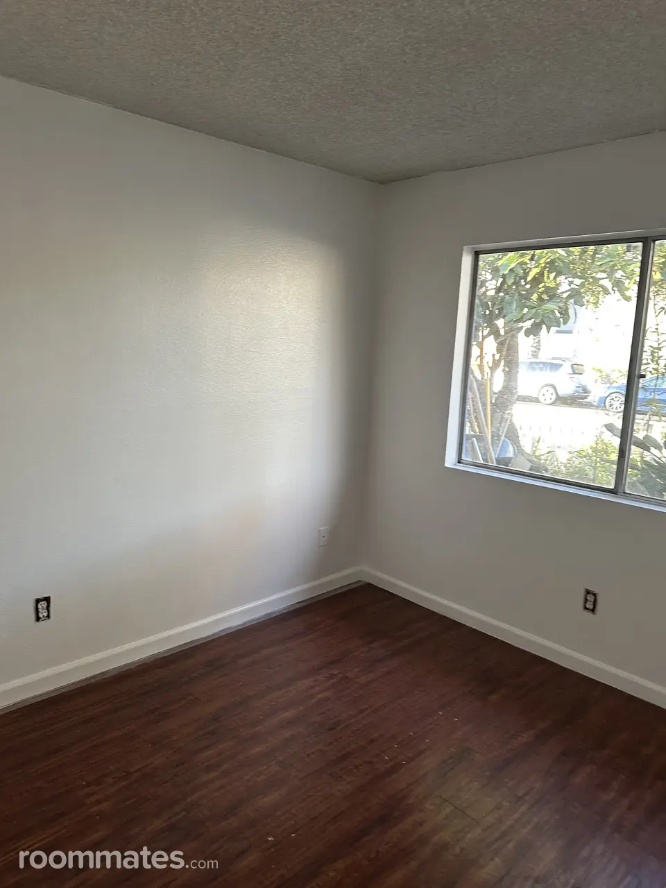 Profile photo 4 of 11