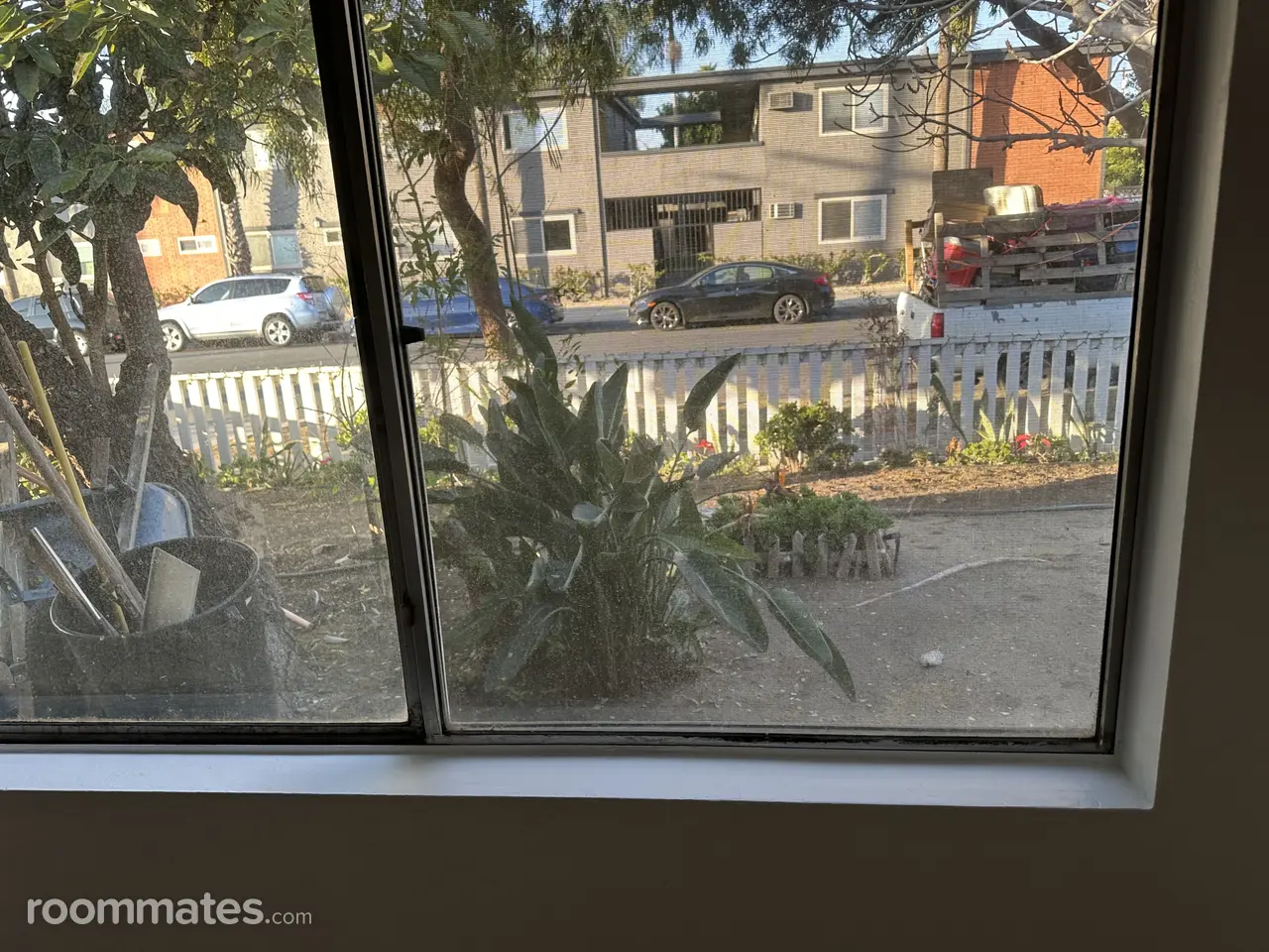 Profile photo 10 of 11