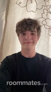 Roommate looking Provo UT, $500