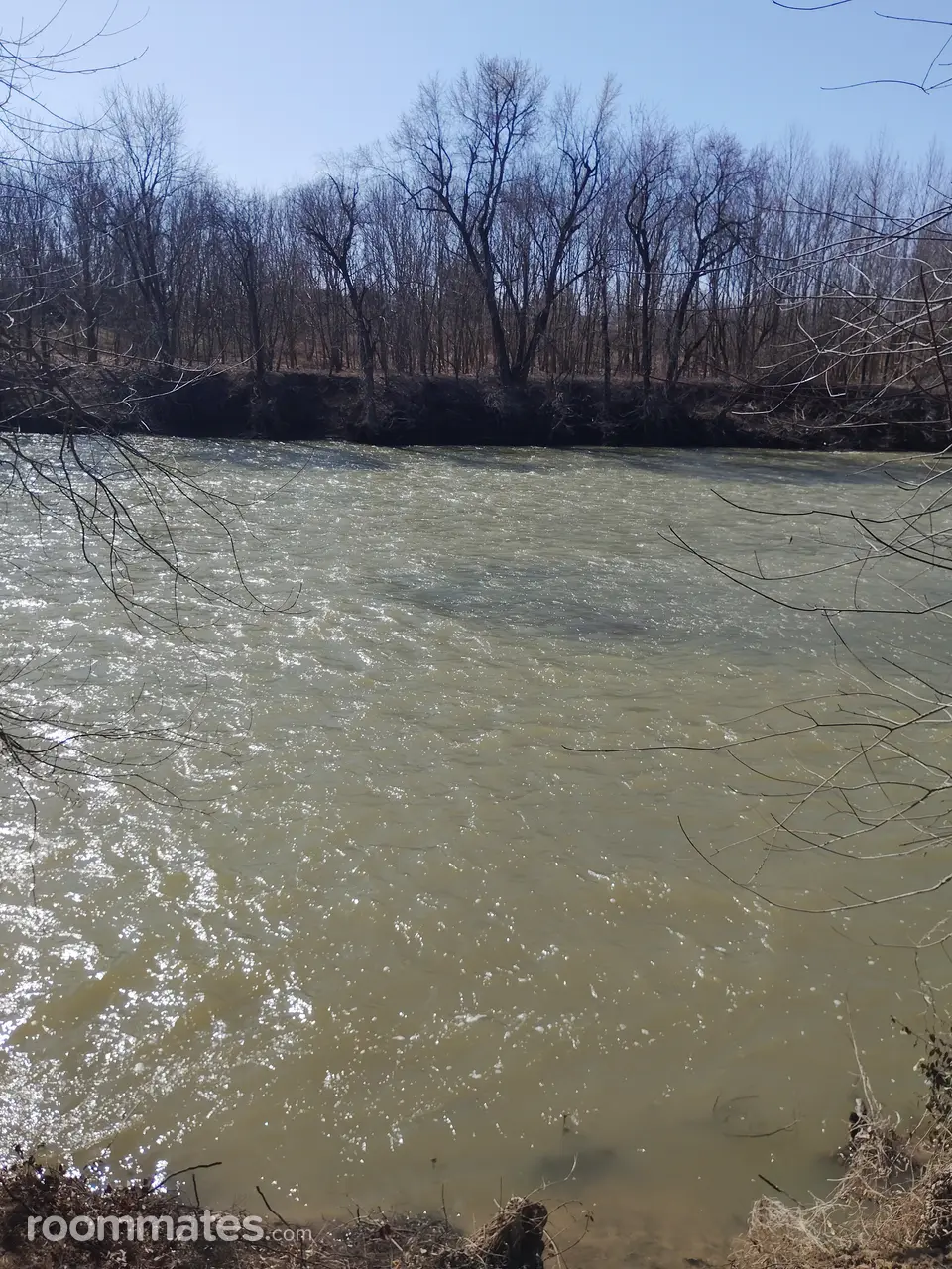 Profile photo 8 of 9