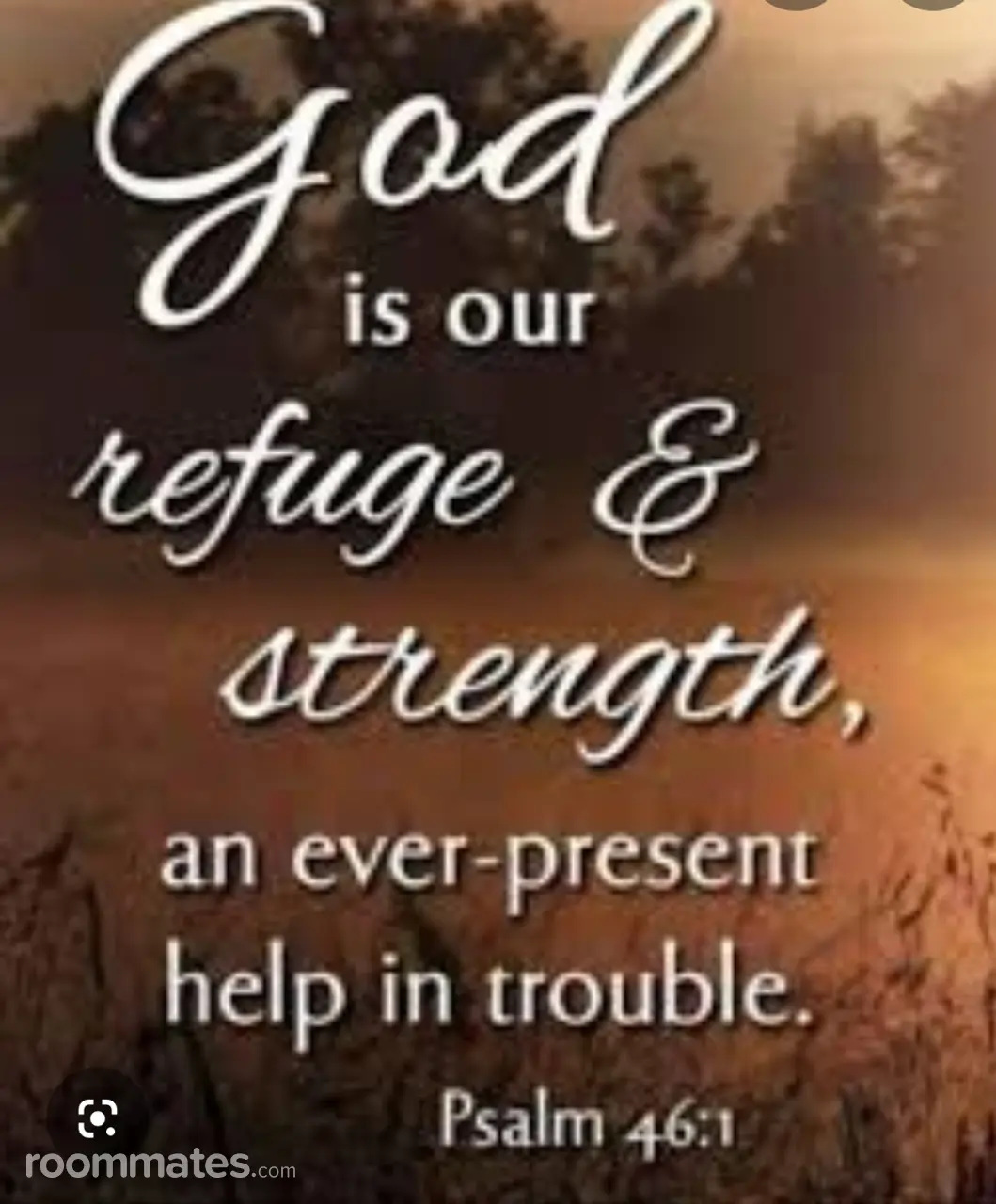 Profile photo 6 of 9