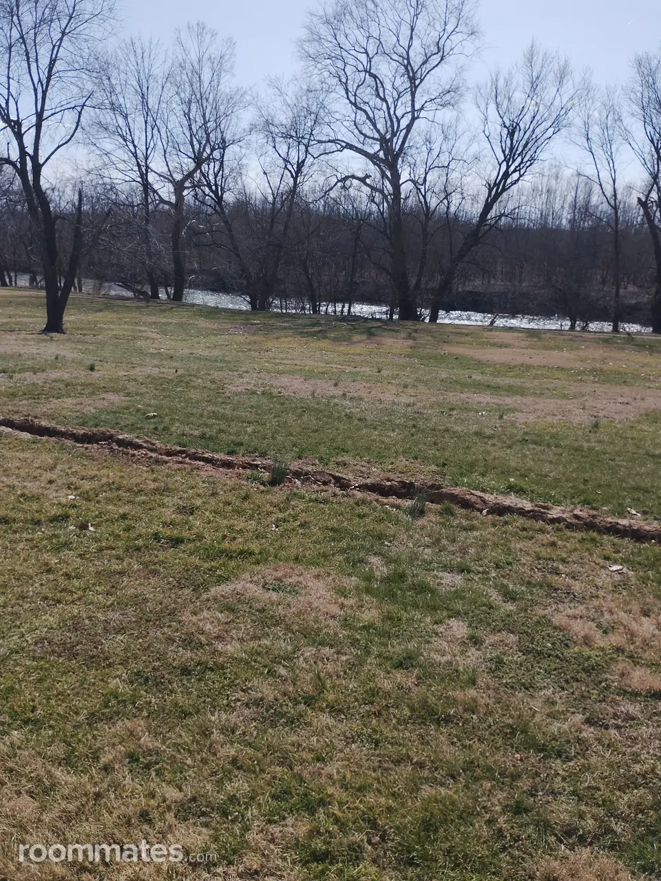 Profile photo 9 of 9