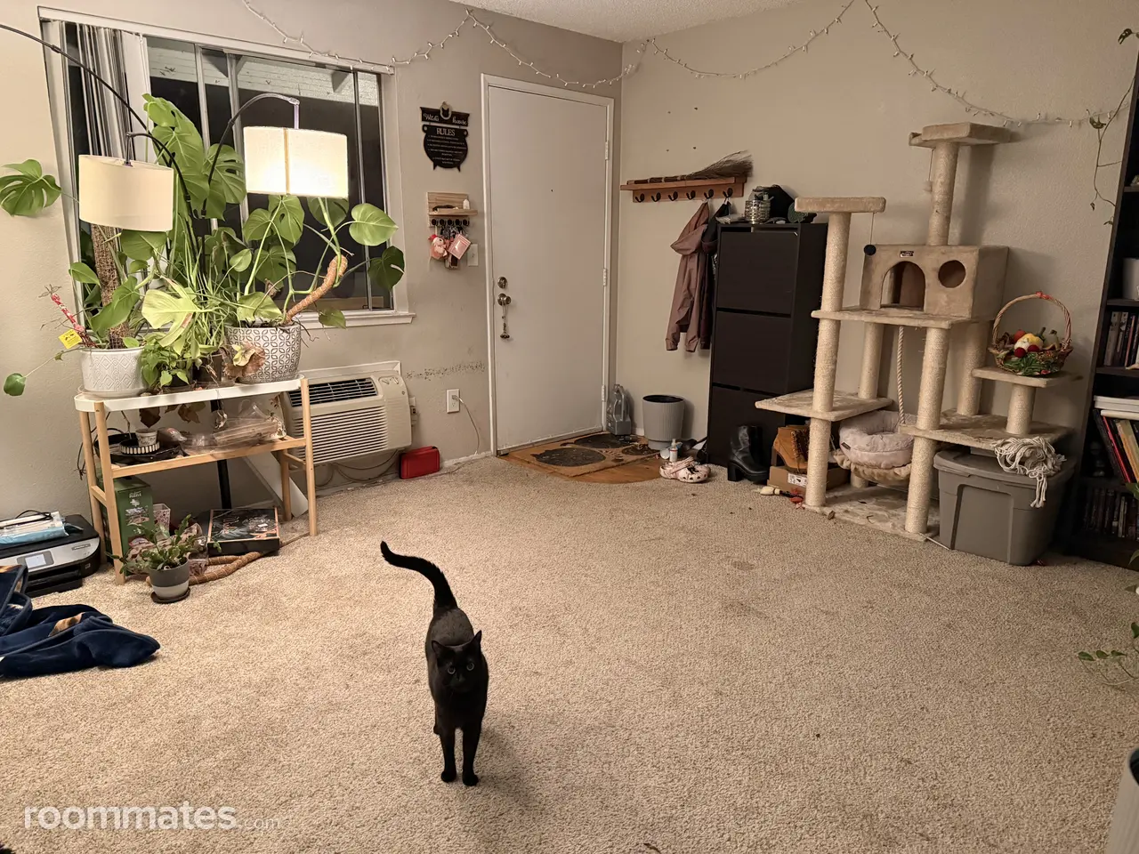 Profile photo 8 of 9