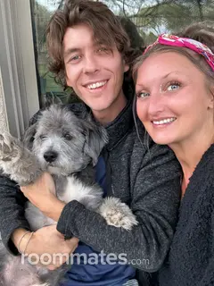 Roommate looking Gilbert, AZ, $900