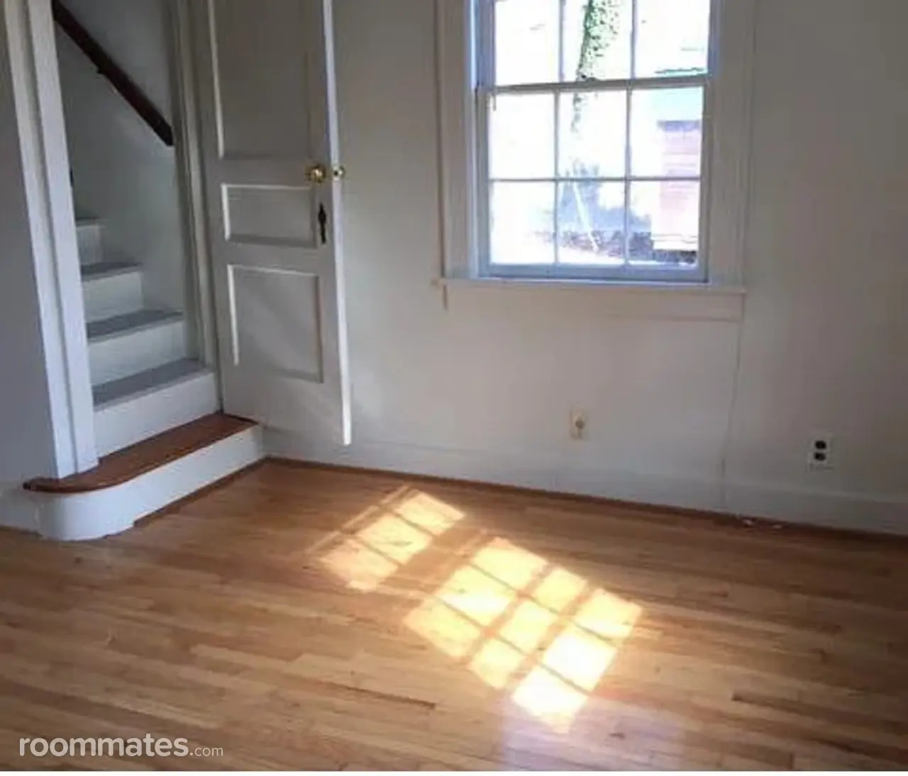 Profile photo 2 of 8