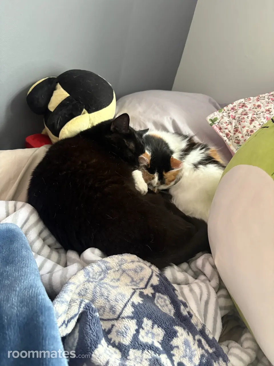 Profile photo 3 of 3