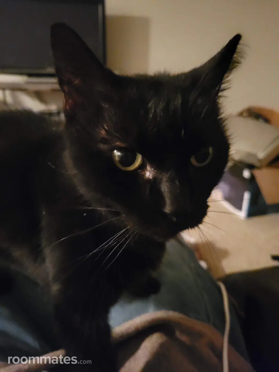 Profile photo 7 of 13