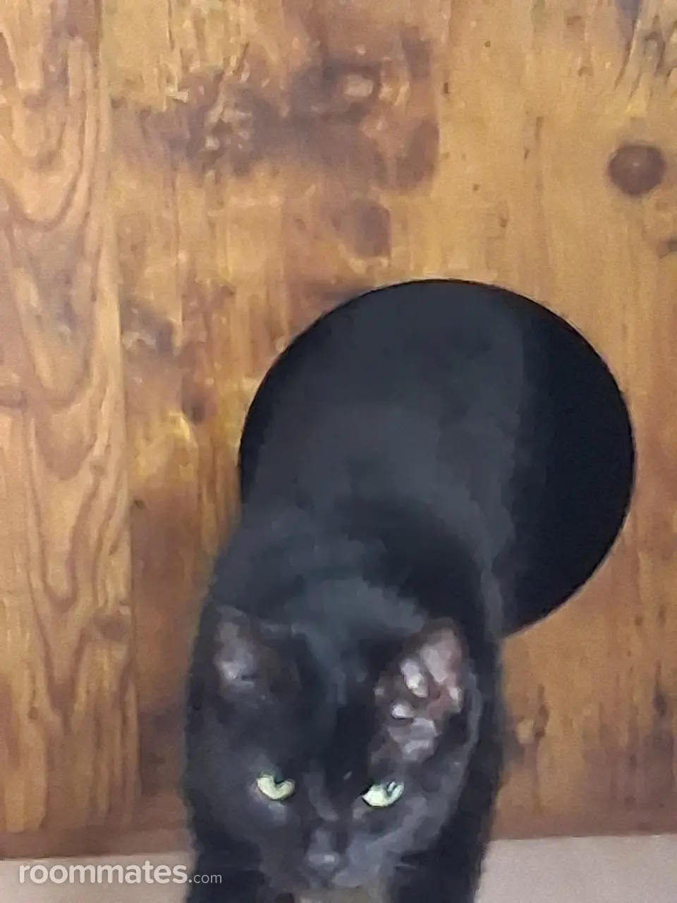 Profile photo 8 of 13