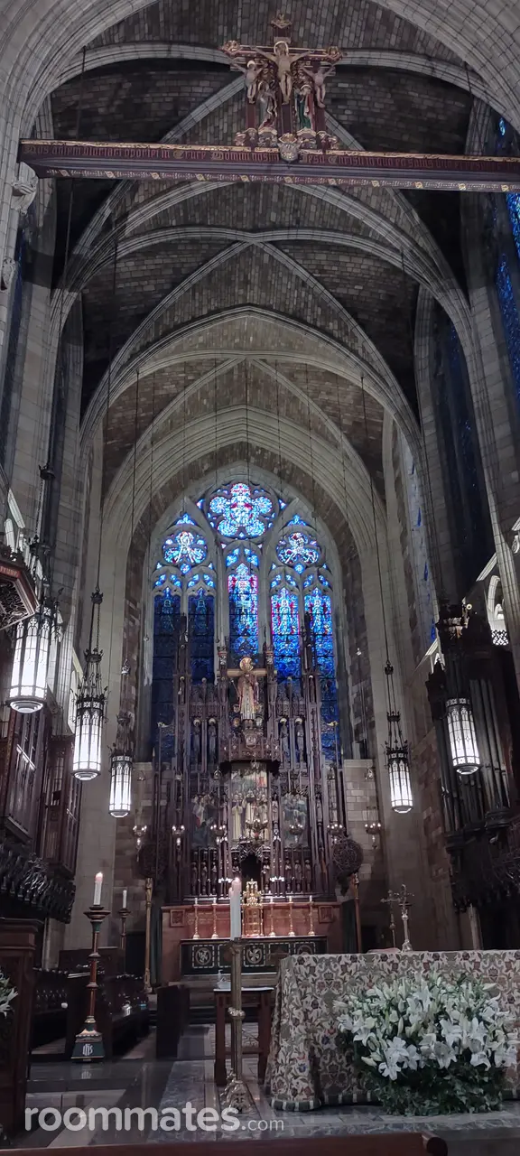 Profile photo 9 of 9