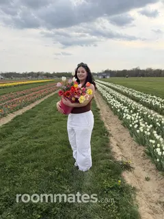 Roommate looking Bear, DE, $800