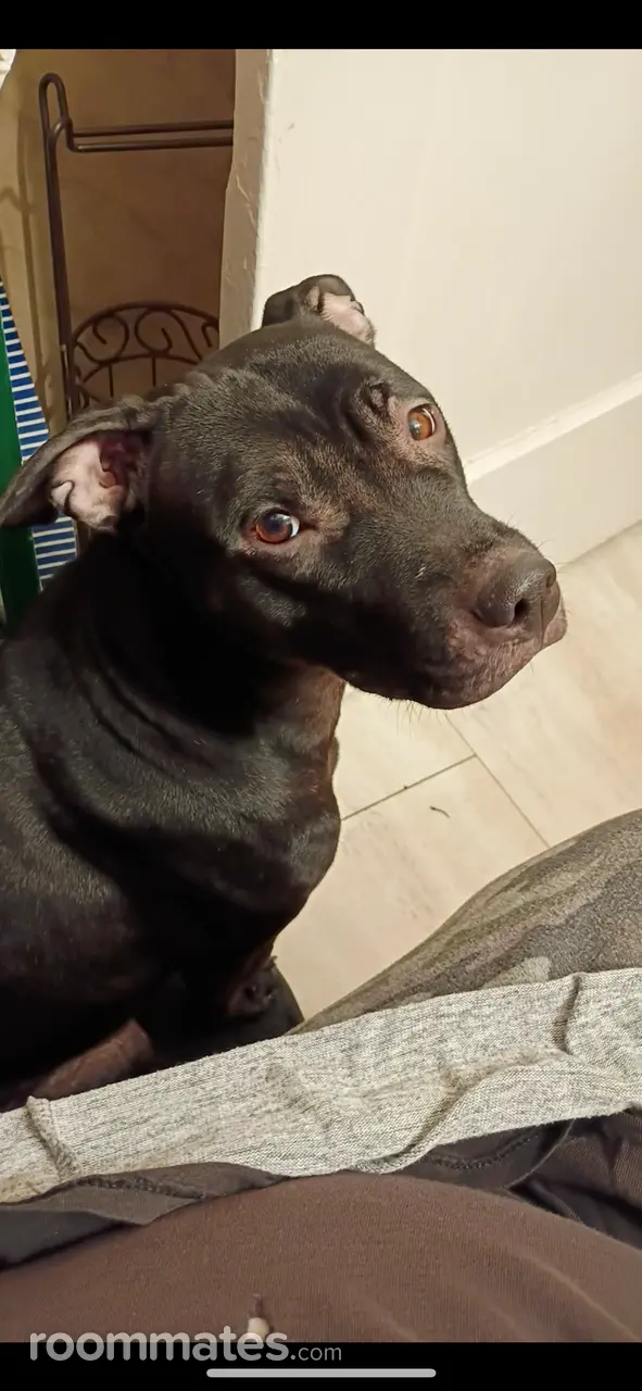 Profile photo 4 of 4