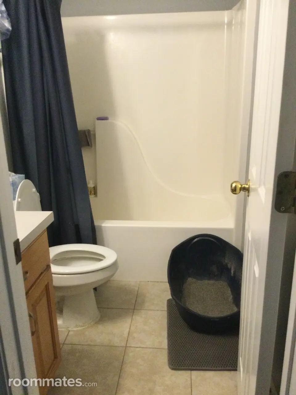 Profile photo 3 of 7