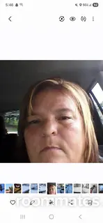 Roommate looking Holland, MI, $800