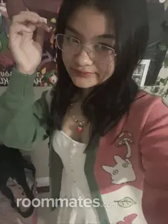 Roommate looking Chicago, IL, $1000