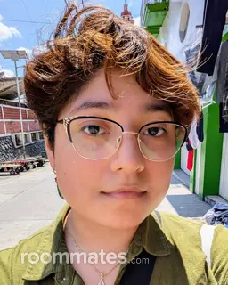 Roommate looking Brooklyn, NY, $1000