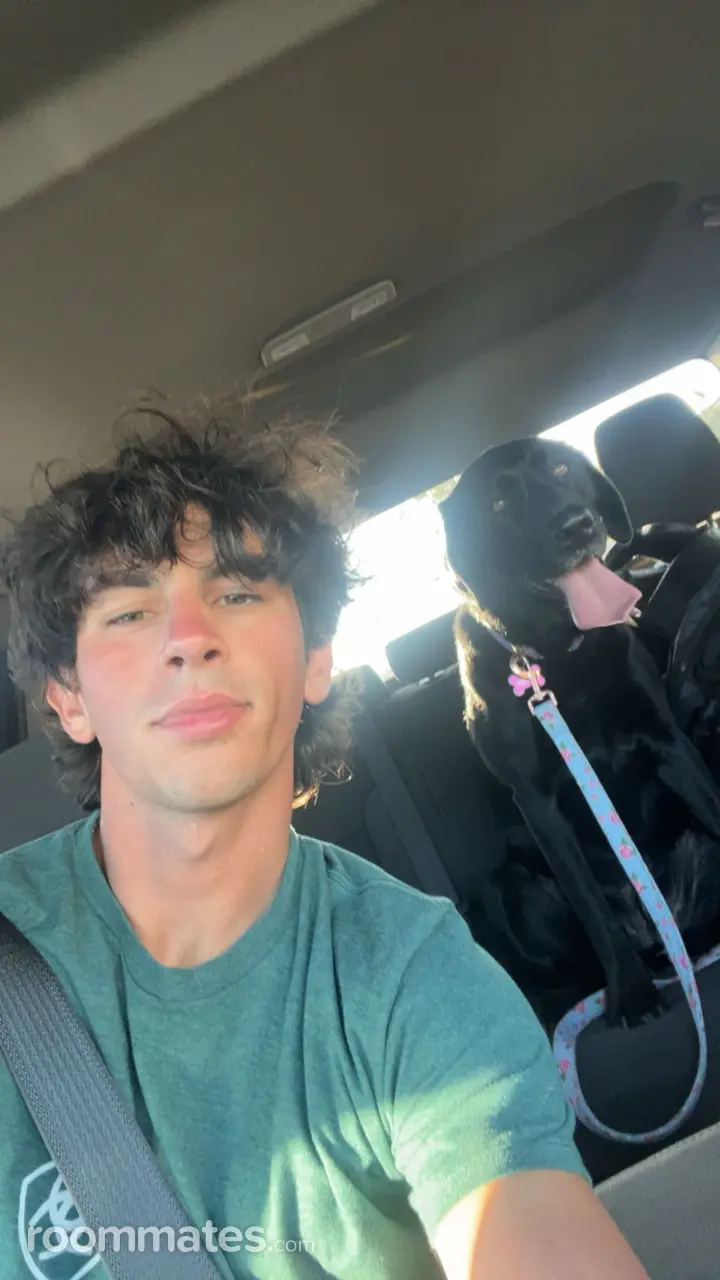 Profile photo 2 of 2