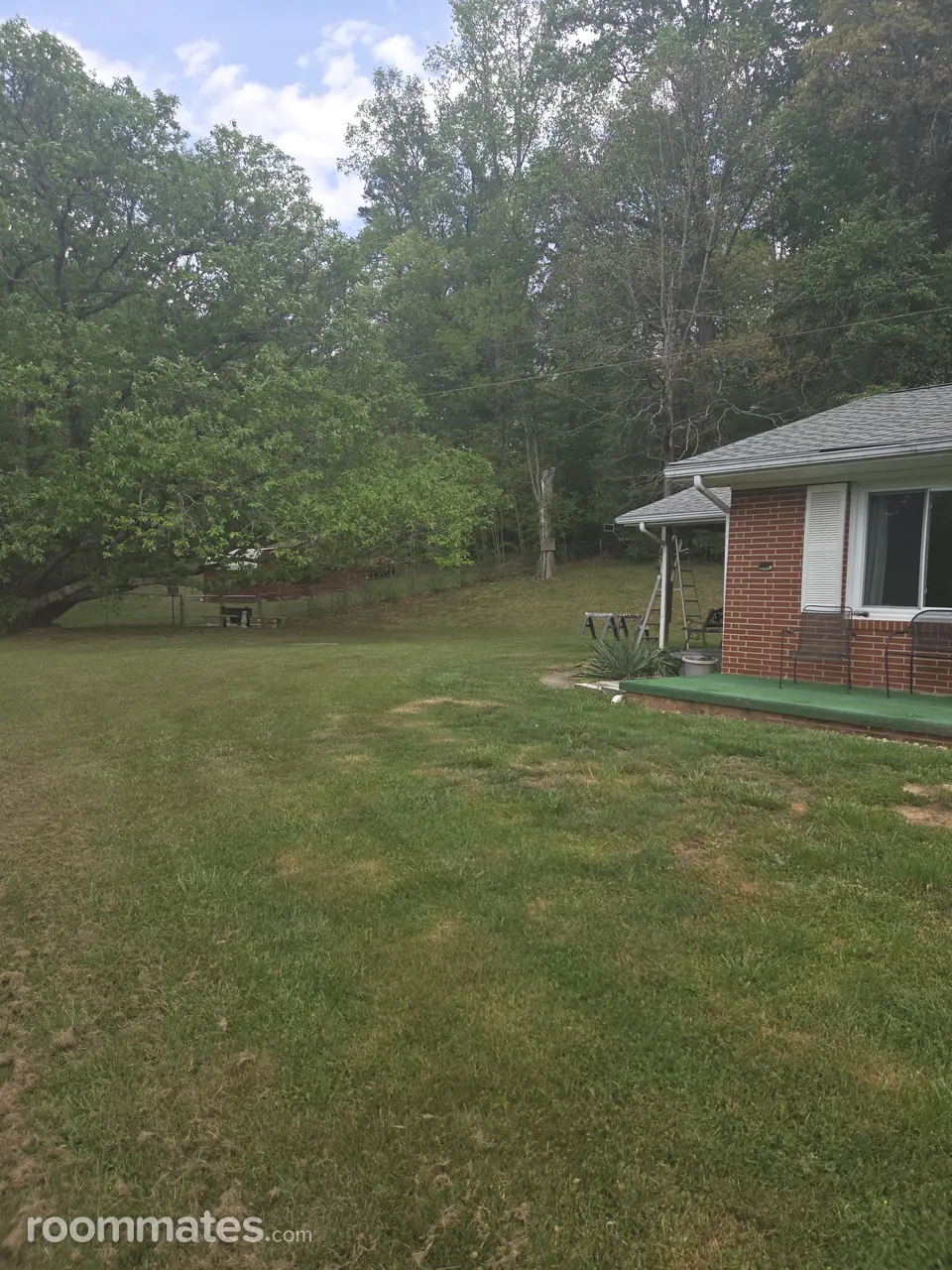 Profile photo 8 of 9