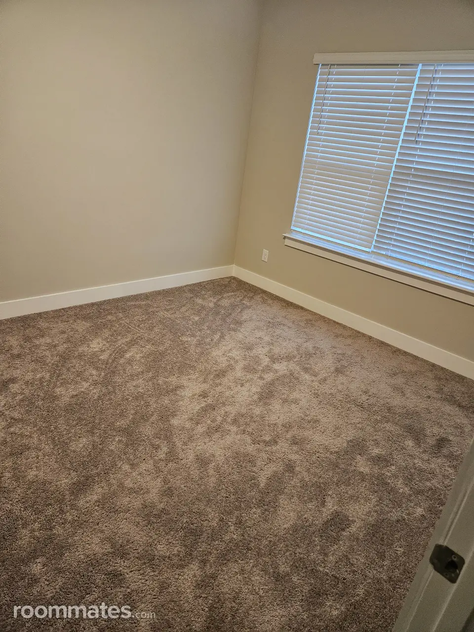 Profile photo 5 of 11