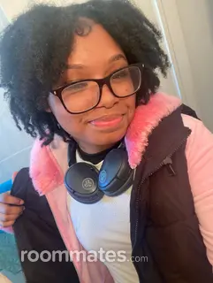 Roommate looking Detroit, MI, $800