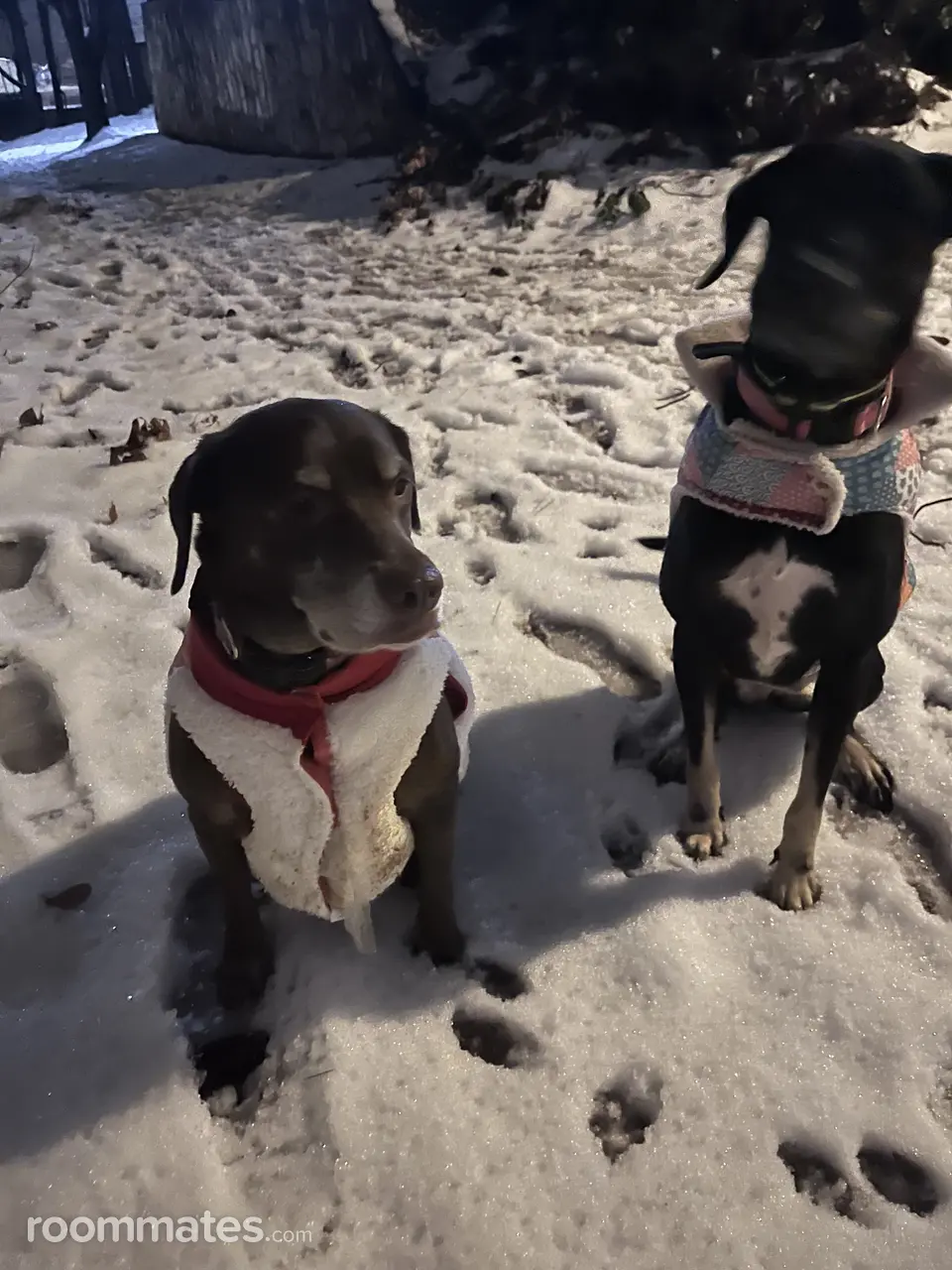 Profile photo 9 of 9