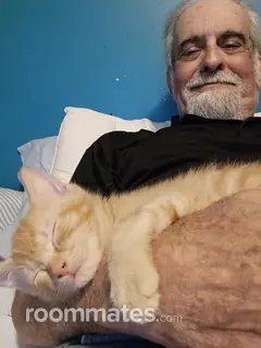 Roommate looking Piedmont, SC, $600