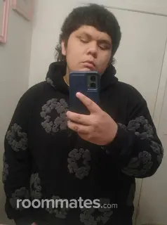 Roommate looking Roseville, CA, $1500