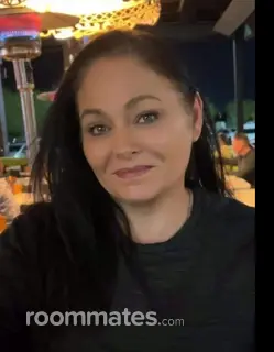 Roommate looking Novi, MI, $500