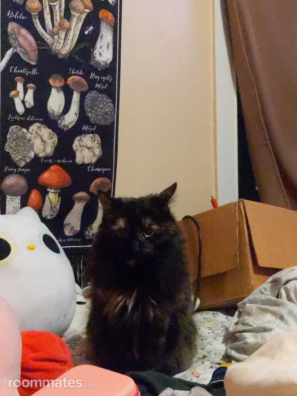 Profile photo 2 of 2