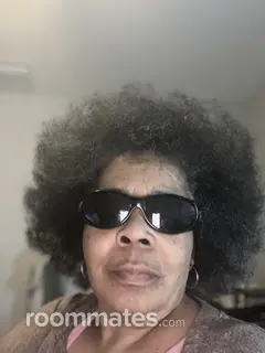 Roommate looking Saylorsburg, PA, $1000