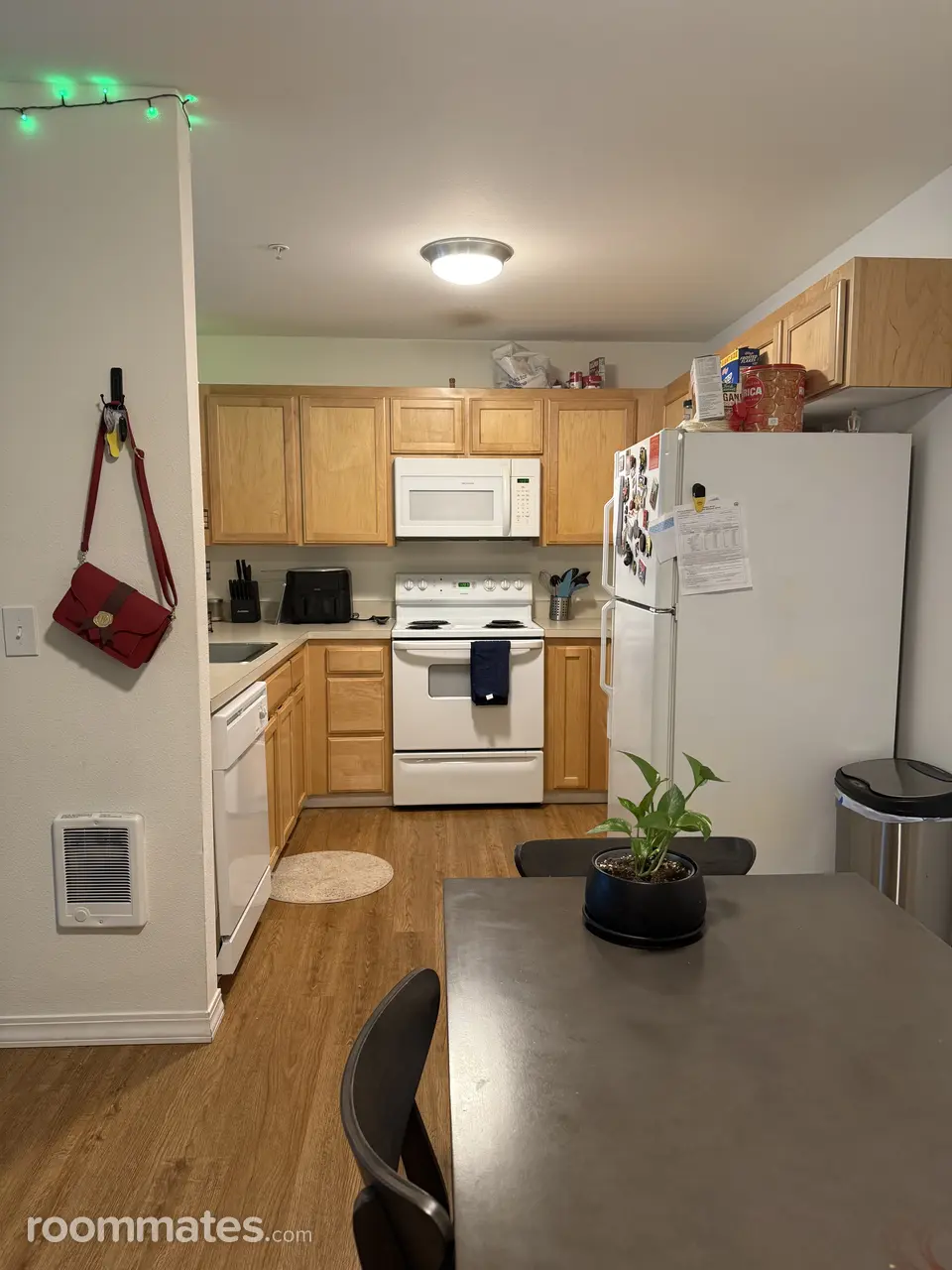 Profile photo 4 of 11