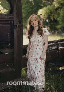 Roommate looking Greenville, SC, $500