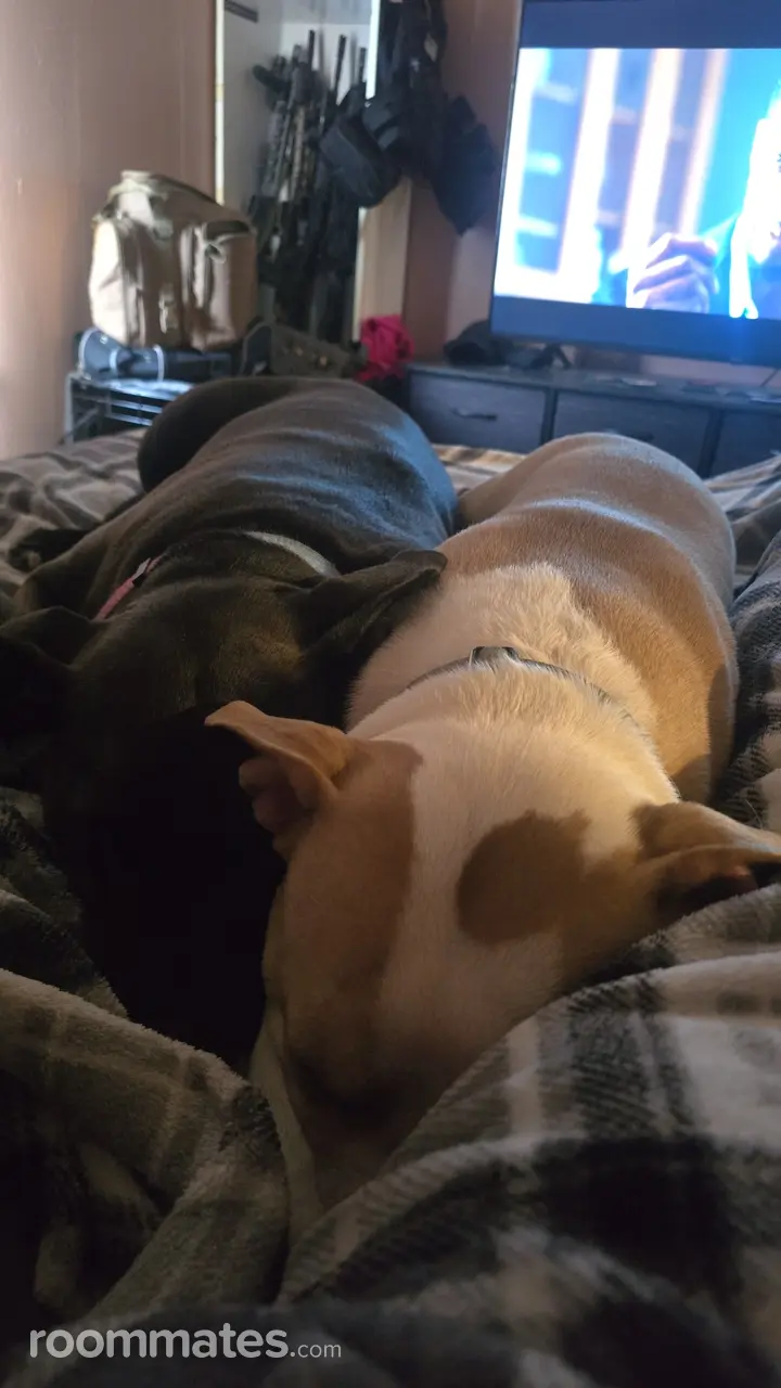 Profile photo 3 of 4