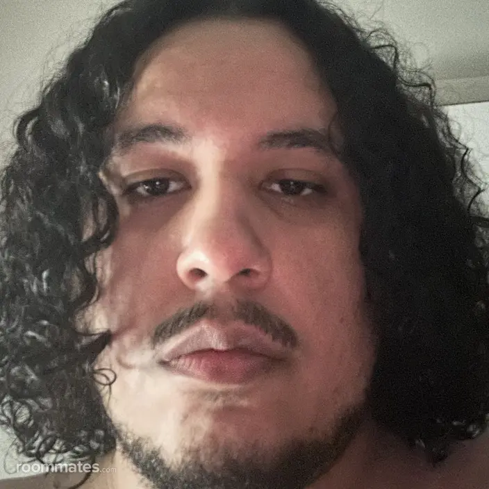 Roommate looking Providence, RI, $1200