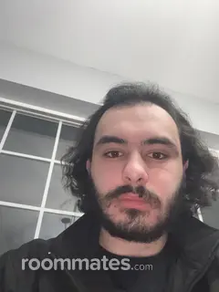 Roommate looking New Haven, CT, $1000