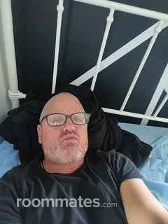 Roommate looking Fort Wayne, IN, $800