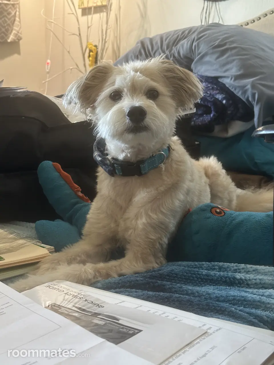 Profile photo 2 of 3