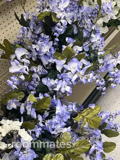 Roommate looking Baltimore, MD, $700