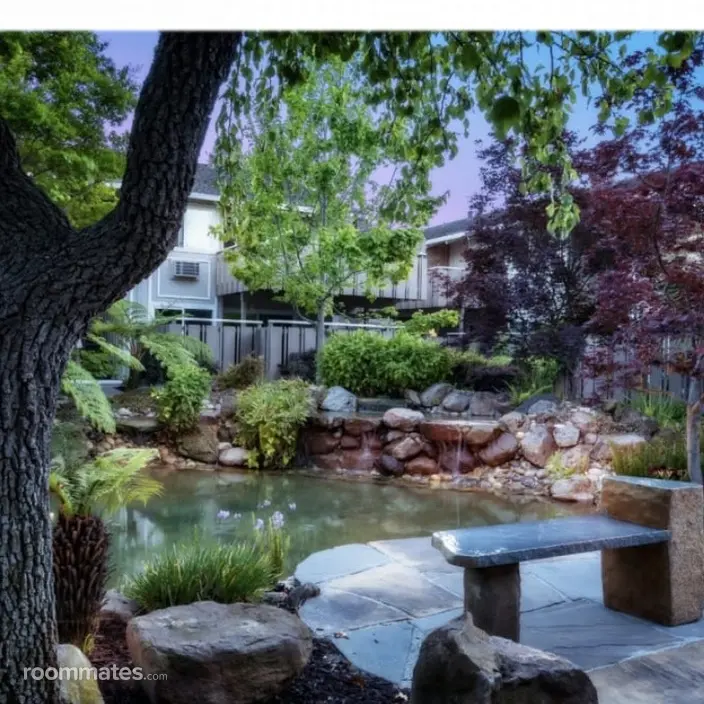 Room for rent in Mountain View, CA $1450, apartment