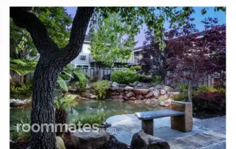 Room for rent in Mountain View, CA $1450, apartment