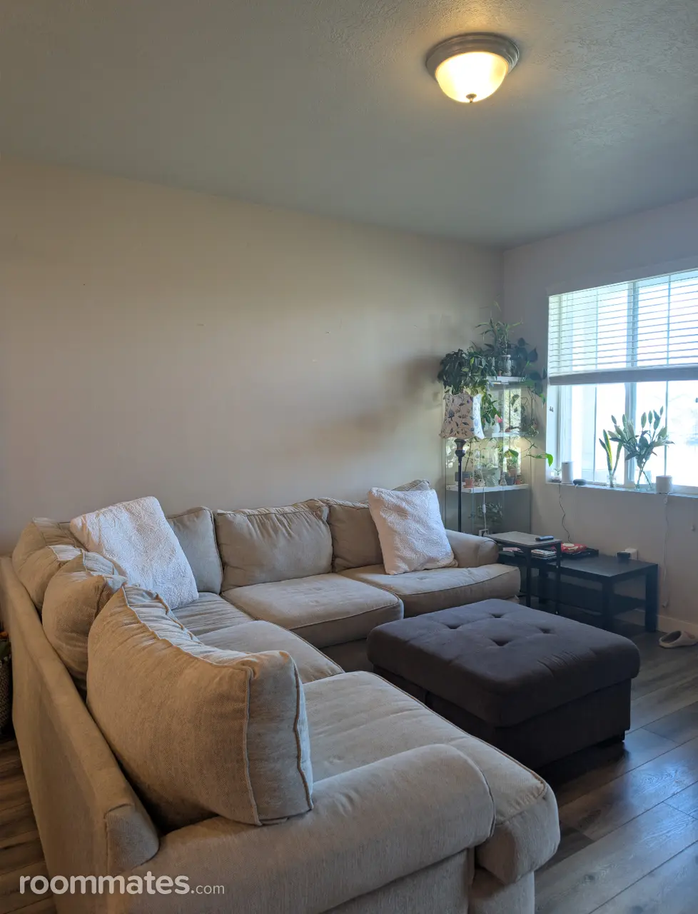 Profile photo 2 of 11