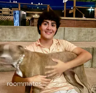 Roommate looking Knoxville, TN, $1500