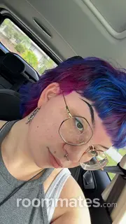Roommate looking Port Charlotte, FL, $700