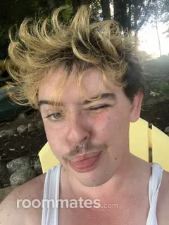 Roommate looking East Providence, RI, $1300