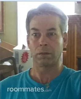 Roommate looking Howell, MI, $1000