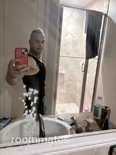 Roommate looking Saint Paul MN, $500