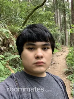 Roommate looking Antioch, CA, $900