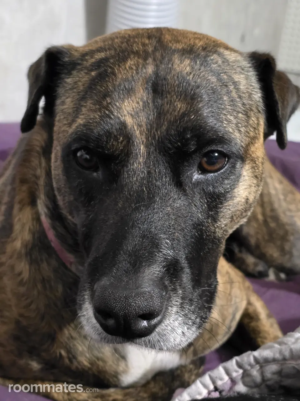 Profile photo 4 of 6