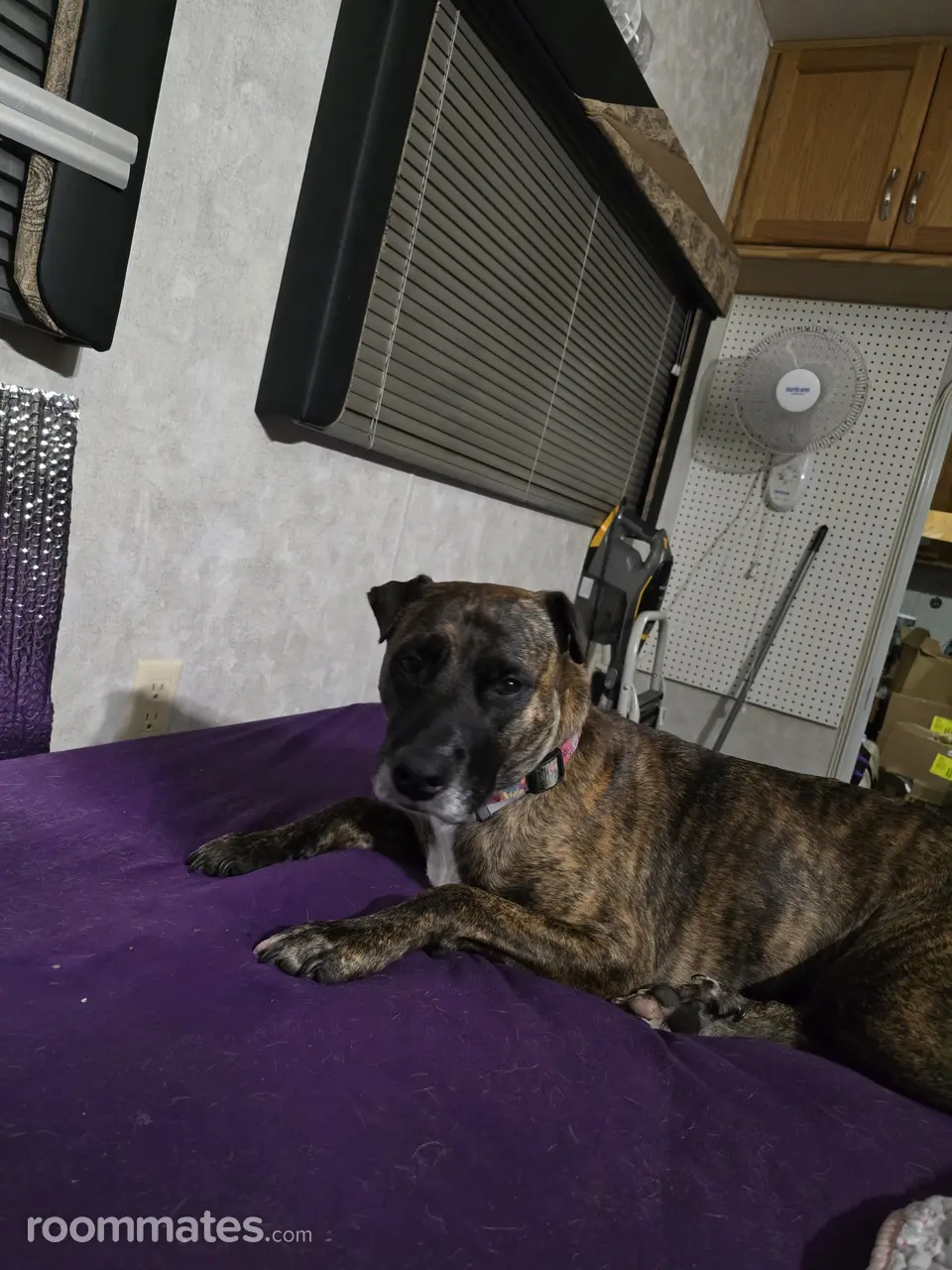 Profile photo 5 of 6